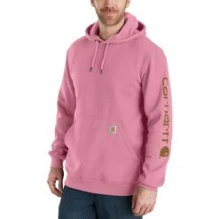 Carhartt Midweight Signature Sleeve Hooded Sweatshirt - Men's -Stoic Fashion Shop FOX